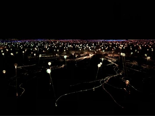 Field of Light by null