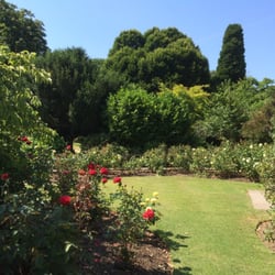 Prittlewell Priory Museum - Rose garden at priory park