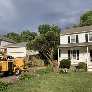 Grade A Cuts Tree Service - Tree Removal - Tree Services Near Me - Powhatan, Virginia Grade A Cuts Tree Service - Tree Removal - Tree Services Near Me - Powhatan, Virginia