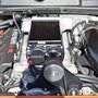 Photo of Modern Muscle