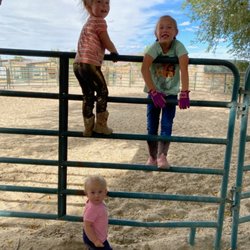 C Horse Ranch - Better than a computer screen.