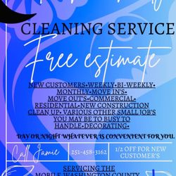 Let’s Talk Dirty Cleaning Services