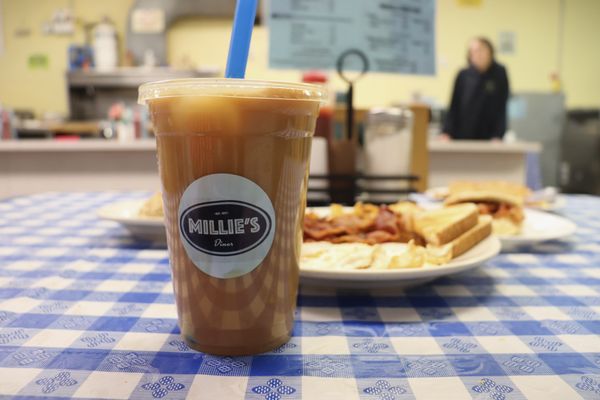 Millie's Lunch by null