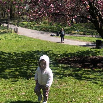 Fort Tryon Park - She loves to wonder around here. - Parks Near Me - New York, New York Fort Tryon Park - She loves to wonder around here. - Parks Near Me - New York, New York