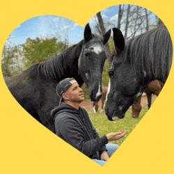 Adventure Horse Riding in NYS - So much love with horses and humans