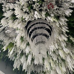 This was the ceiling in the entry and massage room. Gorgeous!
