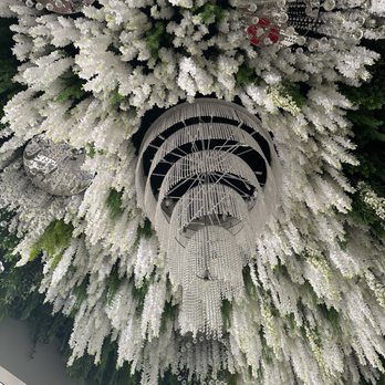 Elegance Day Spa - This was the ceiling in the entry and massage room. Gorgeous! - Massage Near Me - Honolulu, Hawaii