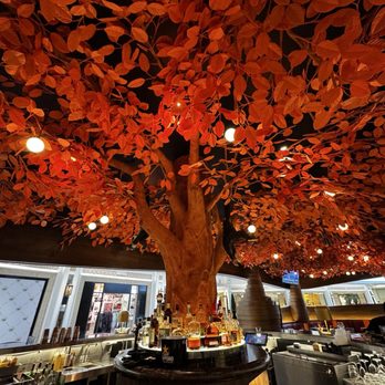 Sushisamba - Bar Top - Asian Fusion Near Me - Las Vegas, Nevada Sushisamba - Bar Top - Asian Fusion Near Me - Las Vegas, Nevada