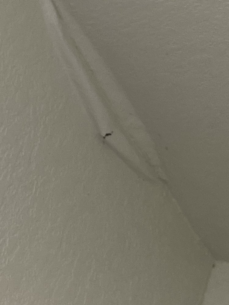 THE VISTAS Updated August 2024 11 Photos 125 Crosspoint, Boerne