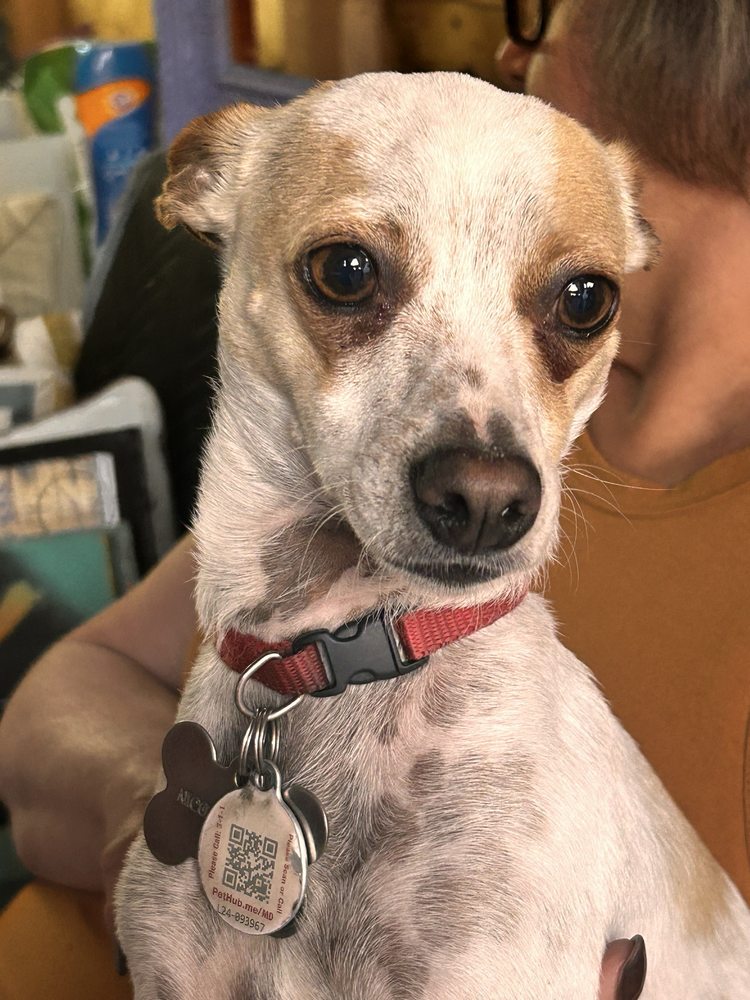 Nana's Spaw Boutique & Grooming Image
