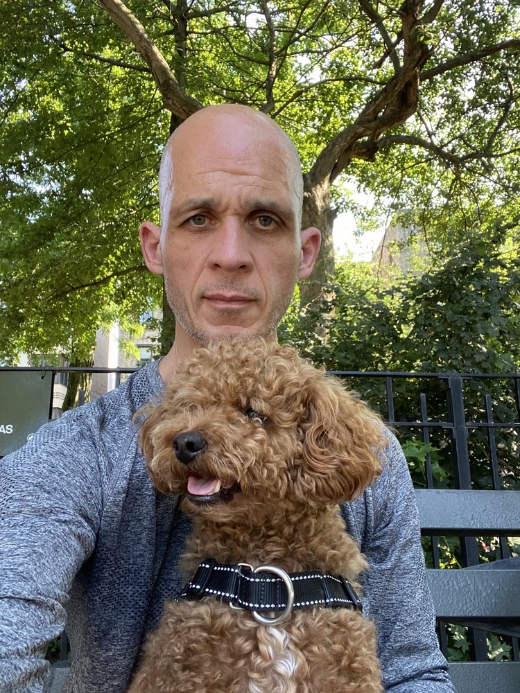 DOGGY STYLE Updated October 2024 16 Photos & 83 Reviews 46 University Pl, New York, New