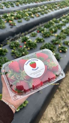 Family Farms by null