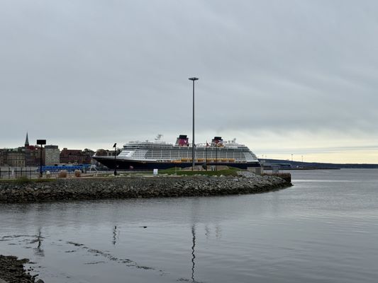 Disney Dream by null