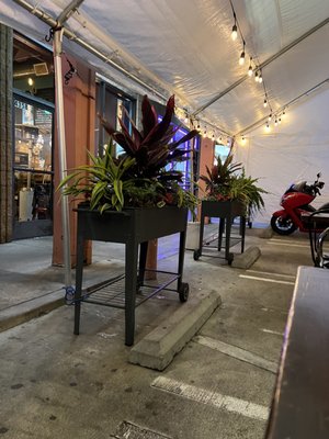 Watdongmoonlek Noodle by null