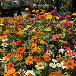 Agape Nursery & Feed