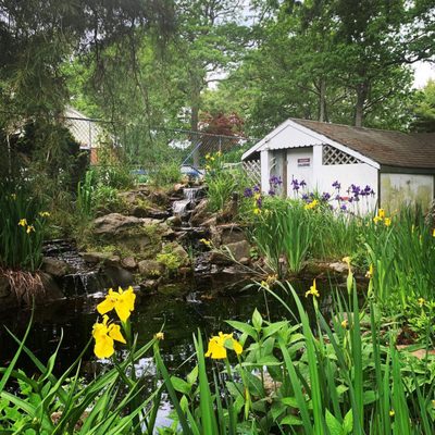 Hamptons Vacation Inn by null