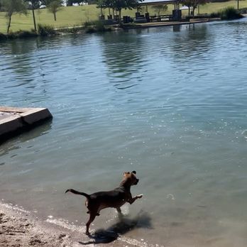 Cosmo Dog Park - Dog Parks Near Me - Gilbert, Arizona