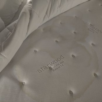 The Dextro - Giant pee stains!! Inspect and clean your rooms accordingly - Hotels Near Me - San Diego, California The Dextro - Giant pee stains!! Inspect and clean your rooms accordingly - Hotels Near Me - San Diego, California