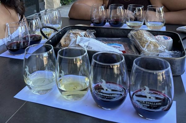 Black Stallion Estate Winery by null