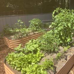 Sprinkler System Repair - Planted!