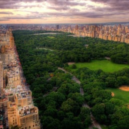 Just admiring the scenery!
*cruises by the upper east side* Just admiring the scenery!
*cruises by the upper east side*