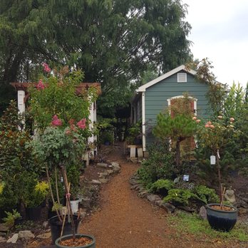nichols garden nursery reviews