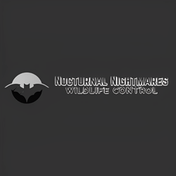 Nocturnal Nightmares Wildlife Control
