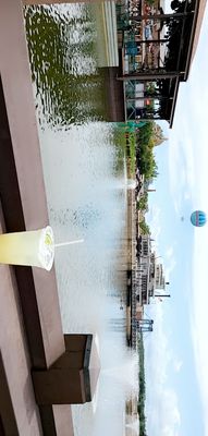 Dockside Margaritas by null