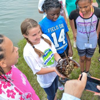 Chincoteague Bay Field Station - Learning about horseshoe crabs during Family Fun Friday - Educational Services Near Me - Wallops Island, Virginia Chincoteague Bay Field Station - Learning about horseshoe crabs during Family Fun Friday - Educational Services Near Me - Wallops Island, Virginia
