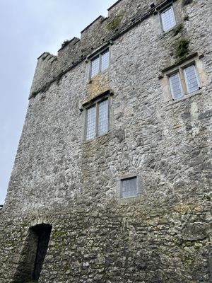 Cahir Castle by null