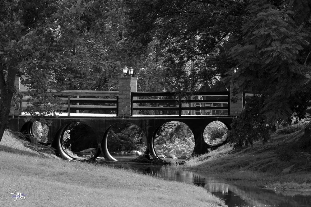 Circle G Ranch - equestrian in Lynnville, TN