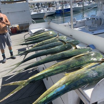 Capt Conch Charters - Fishing Near Me - Key West, Florida Capt Conch Charters - Fishing Near Me - Key West, Florida