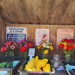 Ryan Family Flower Farm