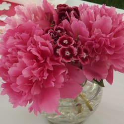 Simply Life Farm - Pink Peonies and Sweet Williams from Simply Life Farm