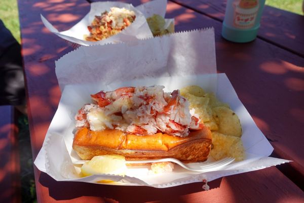 Bite into Maine by null