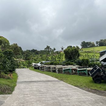Kona Farm Direct Coffee - a road lined with carts - Coffee Roasteries Near Me - Holualoa, Hawaii