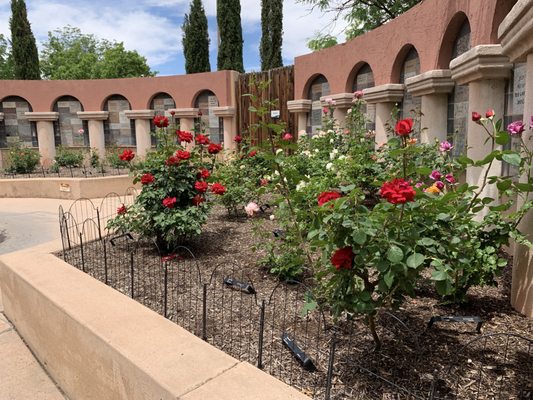 ABQ BioPark - Botanic Garden by null