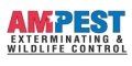Ampest Exterminating
