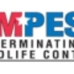 Ampest Exterminating