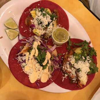 Boda - New Mexican Cuisine Near Me - Tampa, Florida Boda - New Mexican Cuisine Near Me - Tampa, Florida