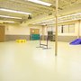 Photo of New Beginnings K-9 Training