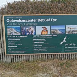 Skagen Grå Fyr