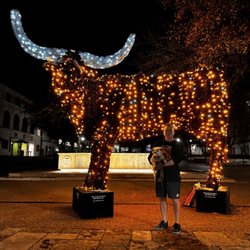 The University of Texas at Austin - Bevo-Longhorn Lights.