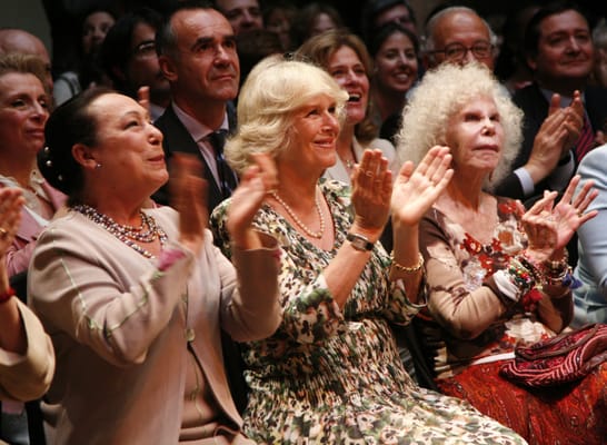 Flamenco Dance Museum by null