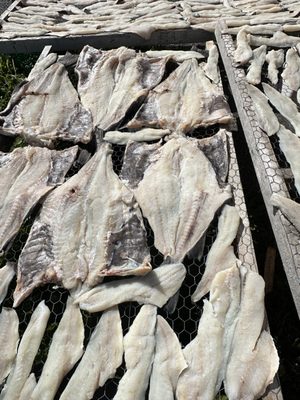 Daily Catch Restaurant by null