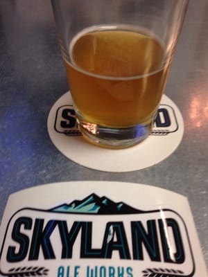 Skyland Ale Works by null