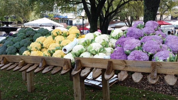 Hyde Park Village Fresh Market by null