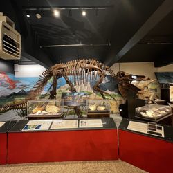Carter County Museum