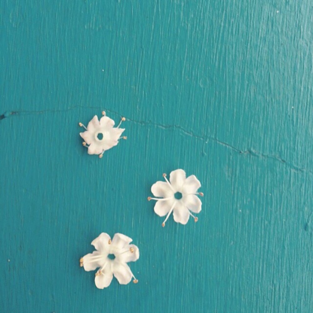 Pacific Yoga - Yoga Near Me - Philadelphia, Pennsylvania Pacific Yoga - Yoga Near Me - Philadelphia, Pennsylvania