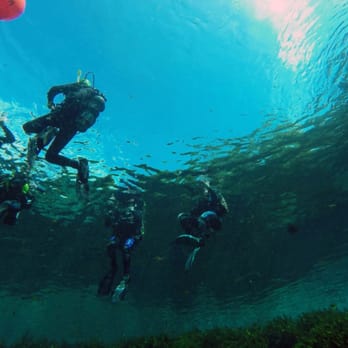 Dayo Scuba - Scuba Diving Near Me - Longwood, Florida